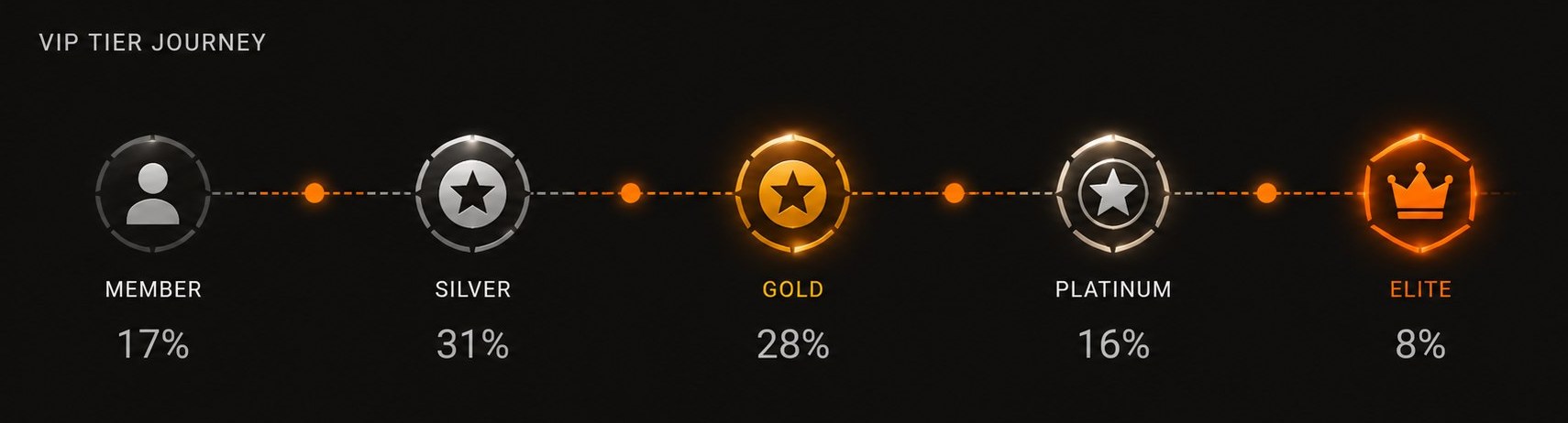 VIP tier journey loyalty dashboard